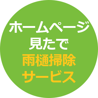 「ホームページを見た」で雨樋掃除をサービス